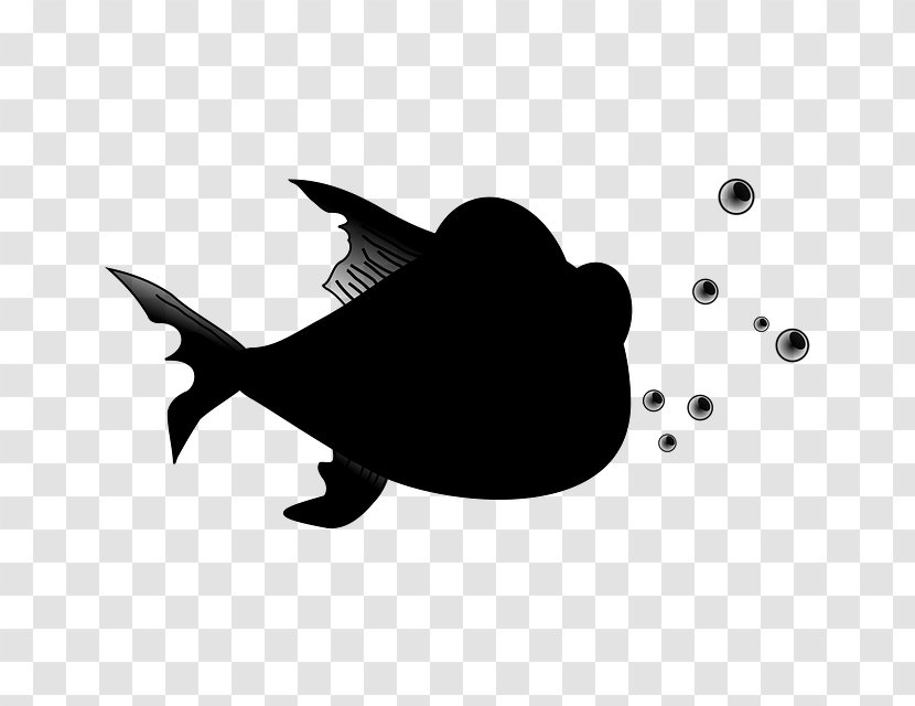 Black & White - Fish - M Clip Art Silhouette Mammal Transparent PNG