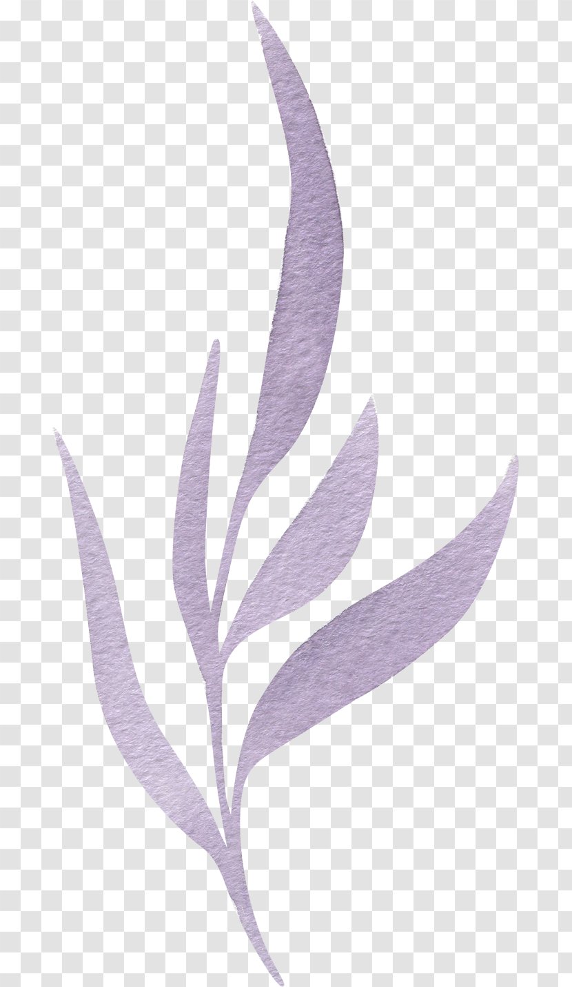 Watercolor Painting - Leaf Transparent PNG