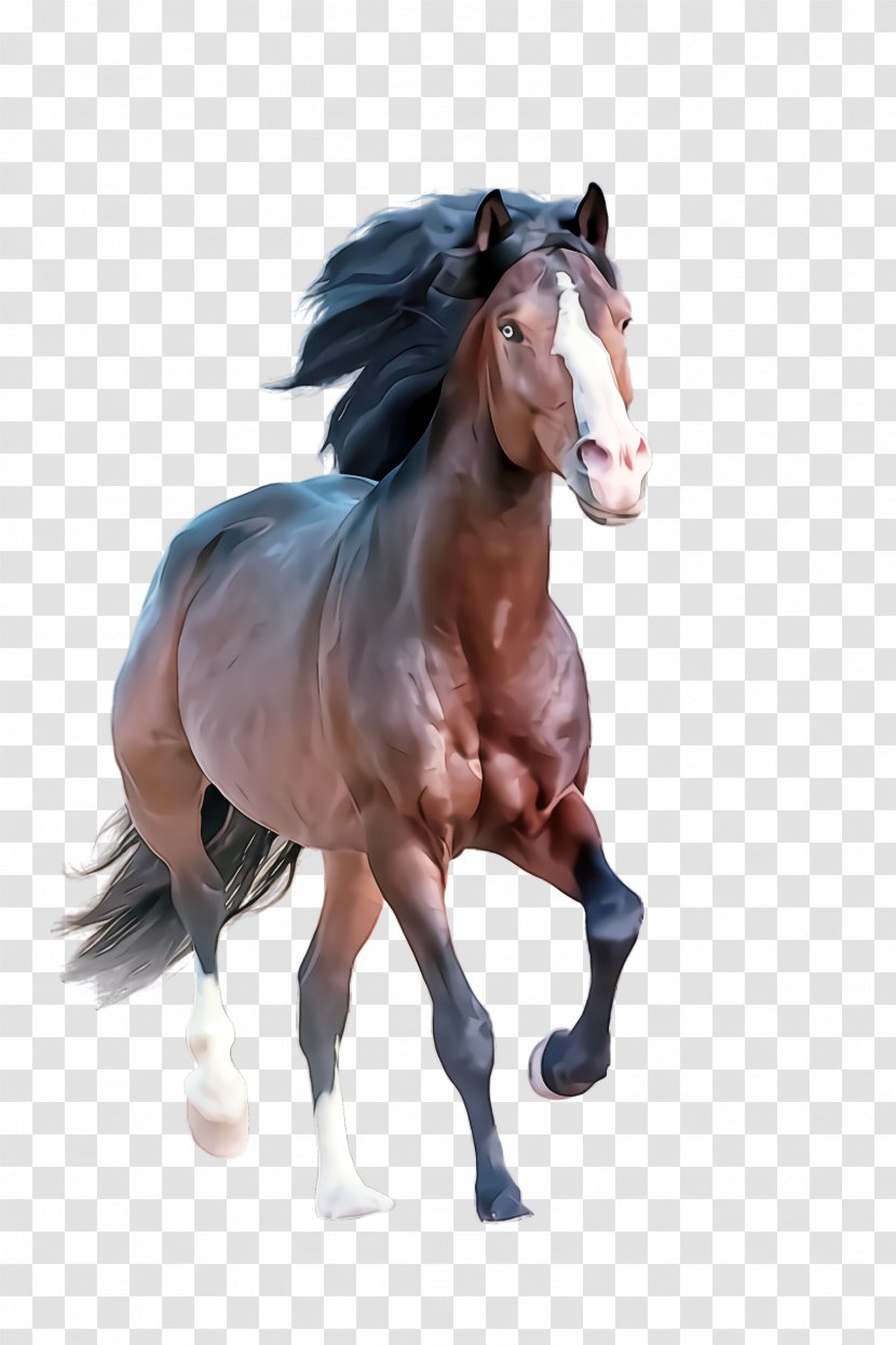 Horse Animal Figure Mane Stallion Mare - Sorrel Transparent PNG