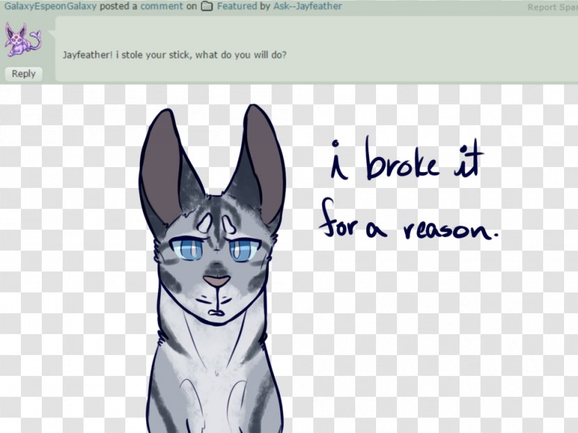 Whiskers Cat Drawing Jayfeather Fan Art - Photo Caption Transparent PNG