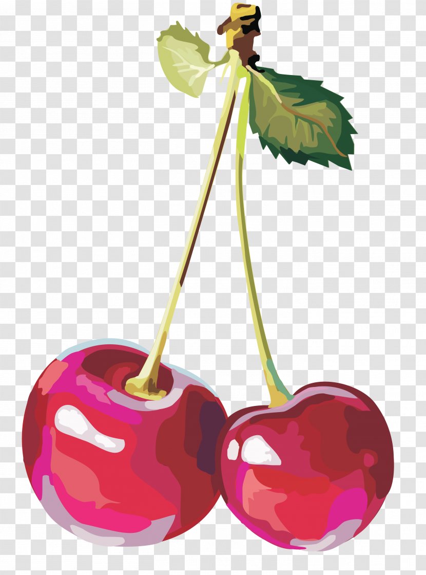 Sweet Cherry Clip Art - Rar - Blueberries Transparent PNG