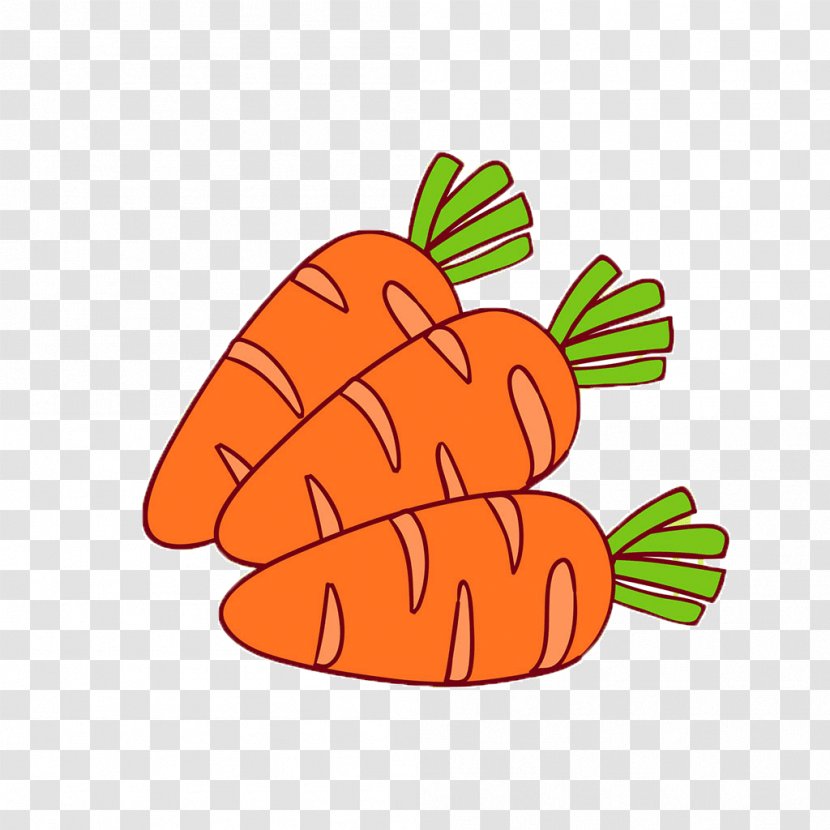 Carrot Illustration Transparent PNG