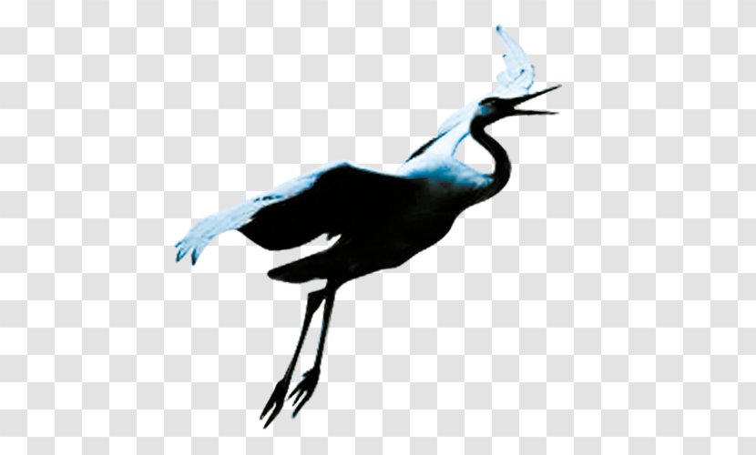 Crane Bird Flight - White Transparent PNG