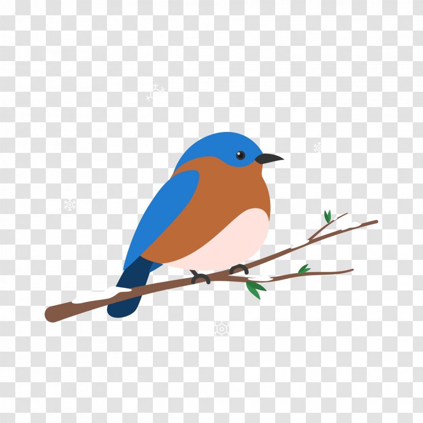 Bird Vector Graphics Illustration - Noni Transparent PNG