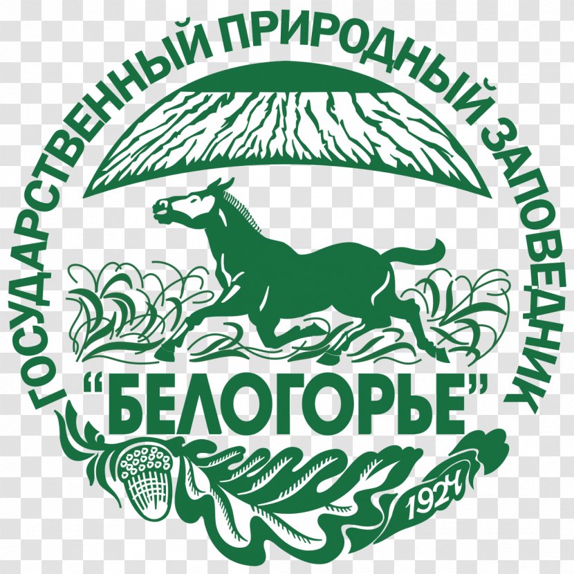 Belogorye Nature Reserve Les Na Vorskle Tarpan Belgorod - Horse Transparent PNG