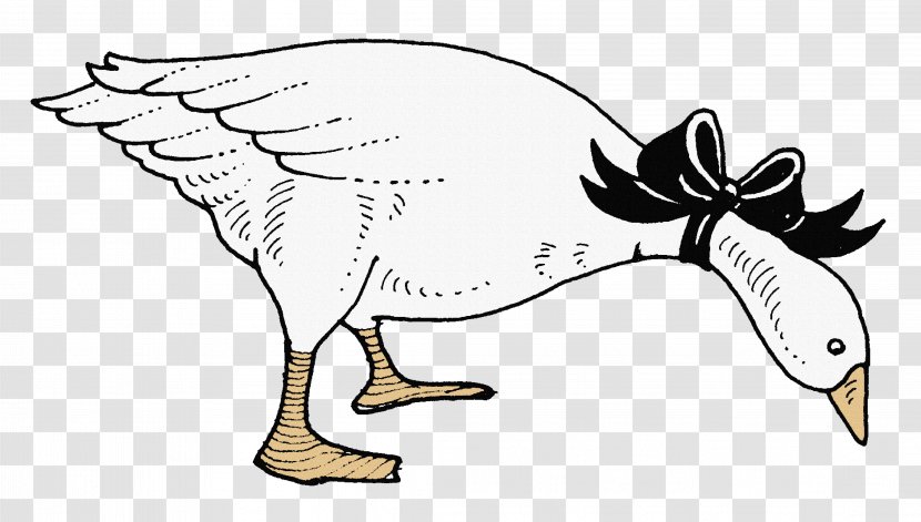 Domestic Goose Cygnini Duck White - Poultry - Creative Hand-painted Big Transparent PNG