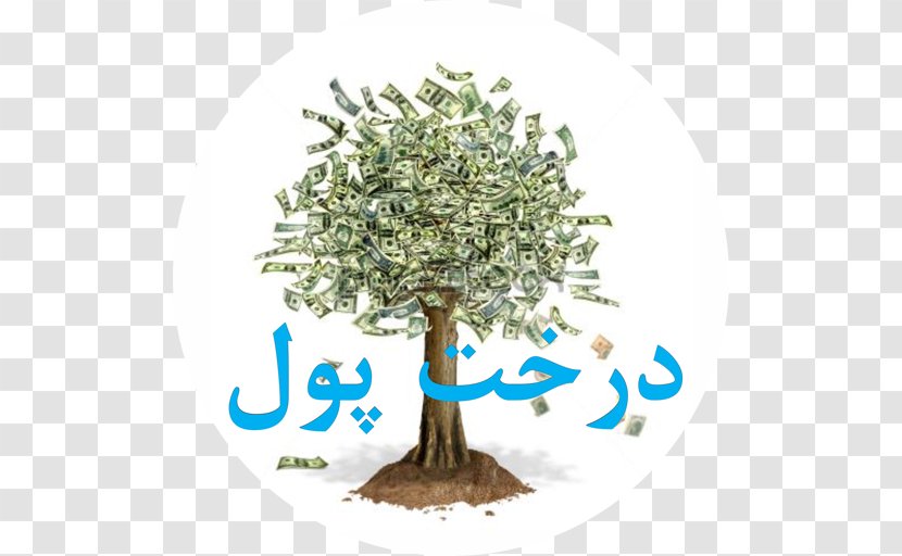 United States Dollar Guiana Chestnut Money Currency Finance - Mehdi Transparent PNG