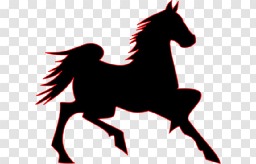 Tennessee Walking Horse Mustang Arabian Belgian Morgan - Colt - Logo Cliparts Transparent PNG
