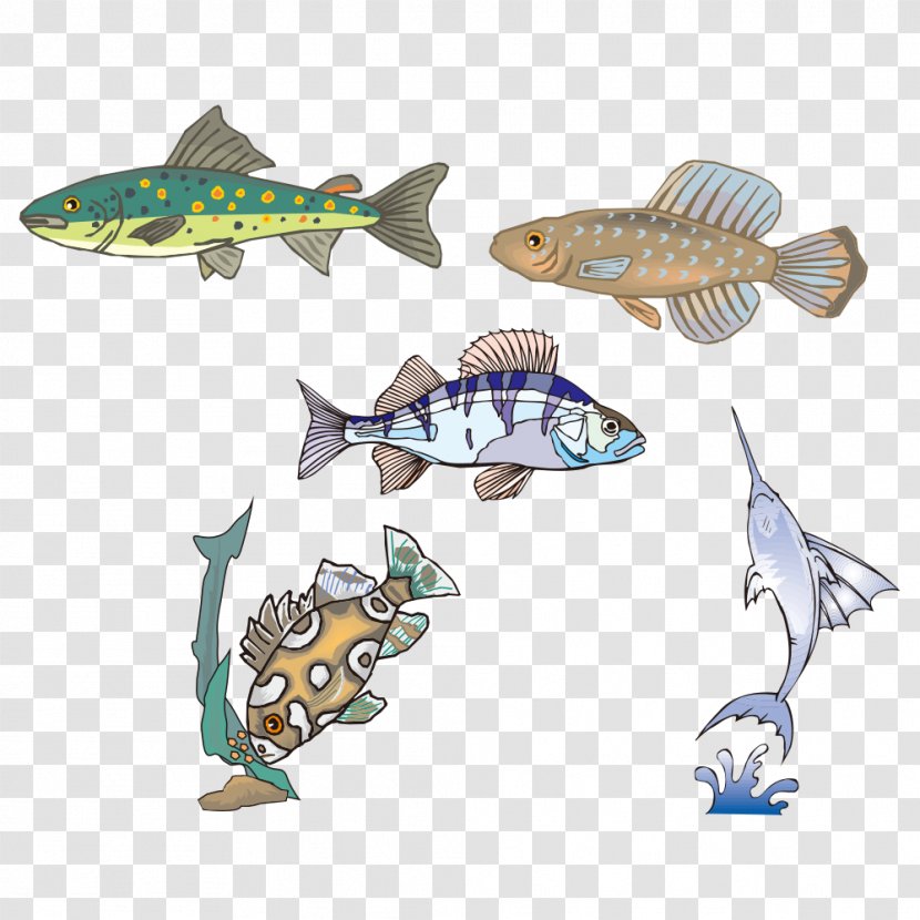 Fish - Organism - Cartoon Transparent PNG