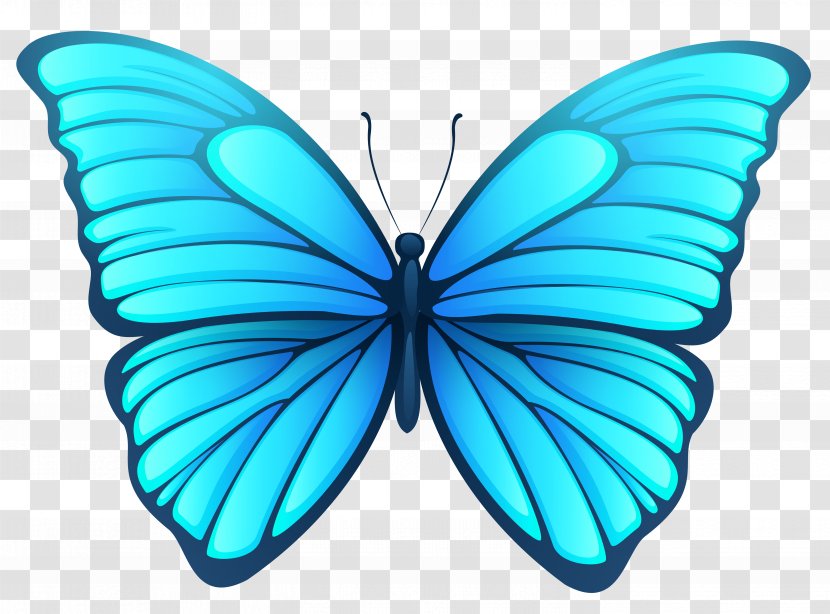 Butterfly Clip Art - Portable Document Format - Image Transparent PNG