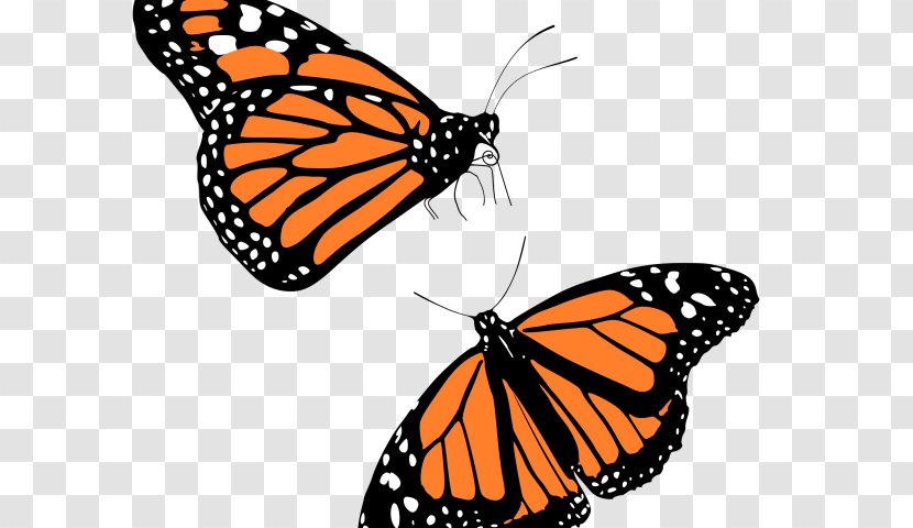 The Monarch Butterfly Clip Art Transparent PNG