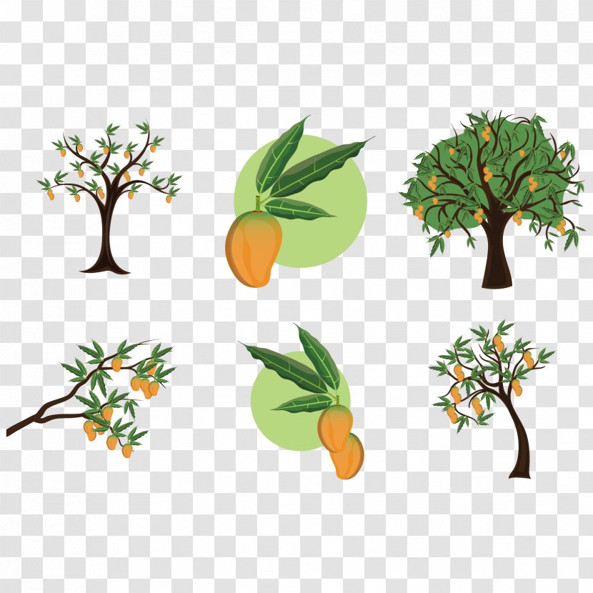 Mangifera Indica Mango Tree Clip Art - Flower - Vector Fresh Transparent PNG