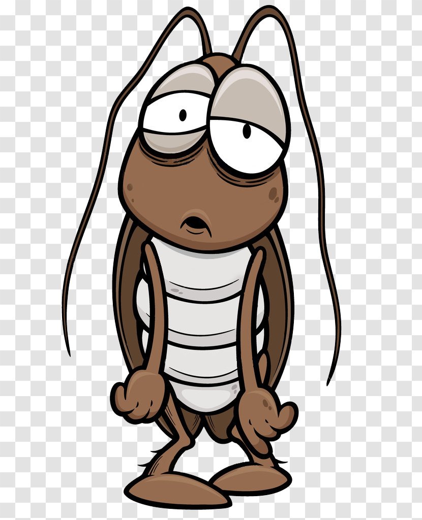 Cockroach Cartoon Insect Illustration - Dizzy Transparent PNG