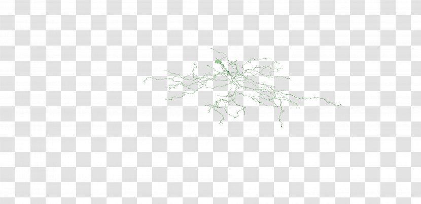 Twig Line Art Leaf Font - Grass Transparent PNG