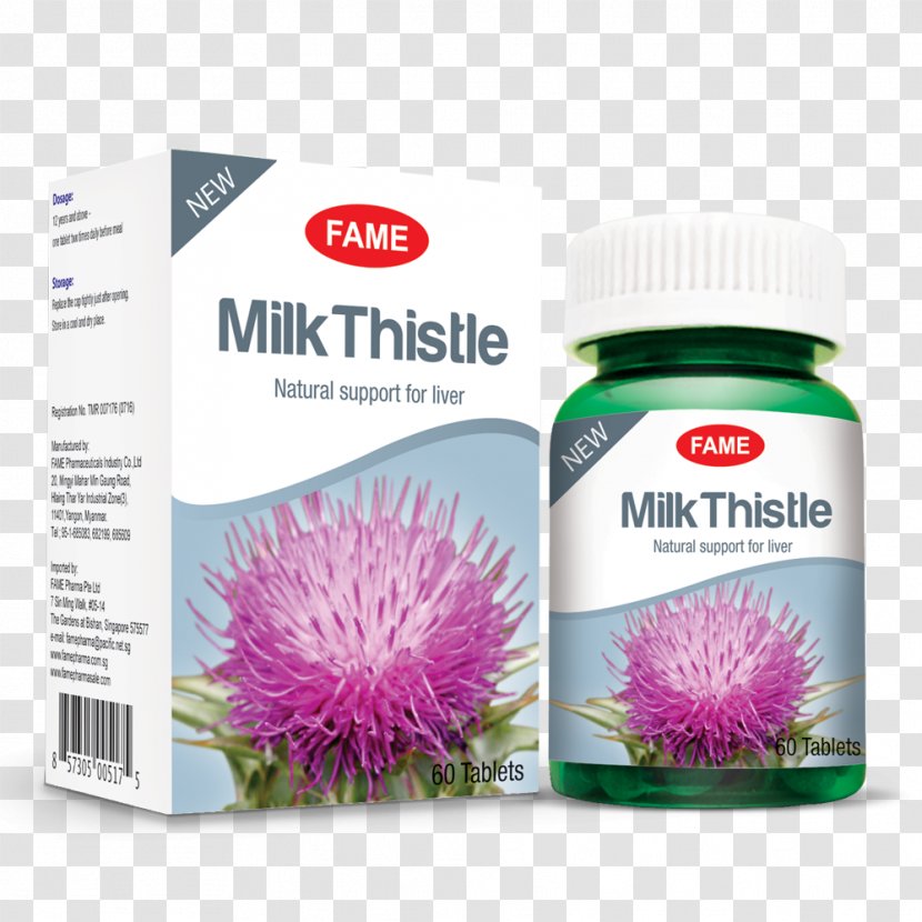 Dietary Supplement Luteolin Nutrient Health, Fitness And Wellness - Plant - Milk Thistle Transparent PNG