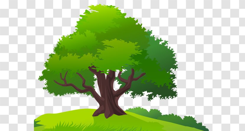 Tree Clip Art - Biome Transparent PNG