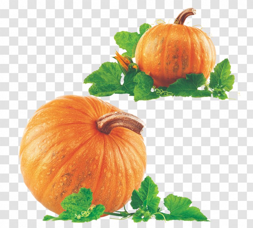 New Hampshire Pumpkin Festival Pie Clip Art - Pectin - And Vine Transparent PNG