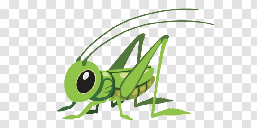 Grasshopper Illustration Clip Art Image Cartoon - Parasite - Bumblebee Insect Transparent Background Transparent PNG