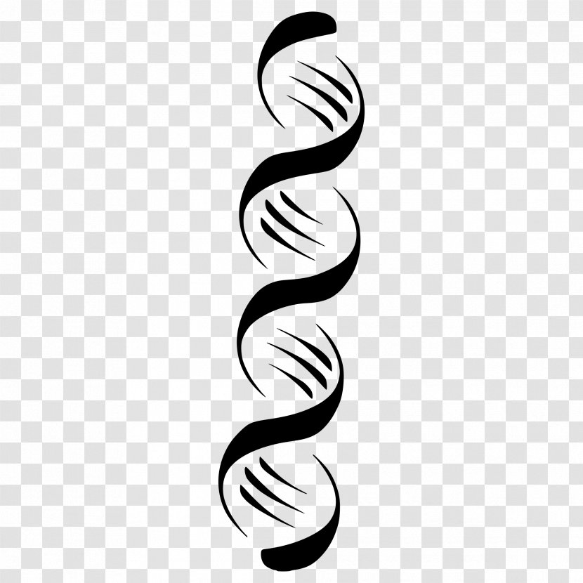 DNA Nucleic Acid Double Helix Clip Art - Spiral Transparent PNG