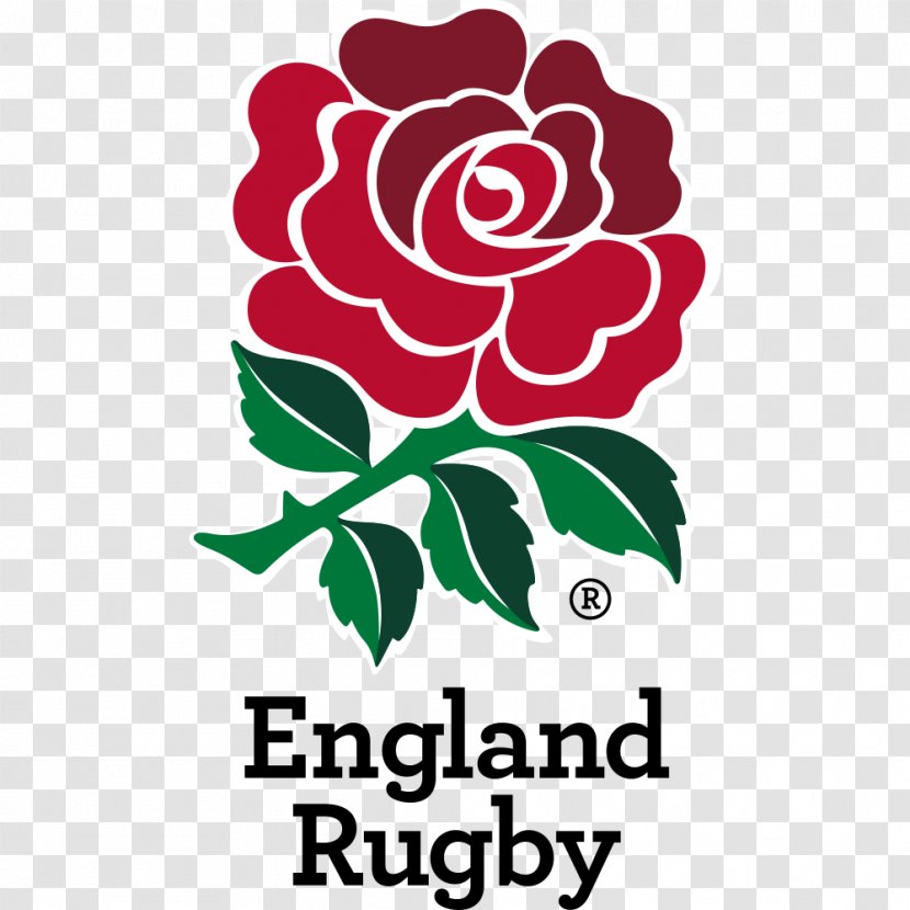 England National Rugby Union Team Six Nations Championship Irish Scotland - Text Transparent PNG