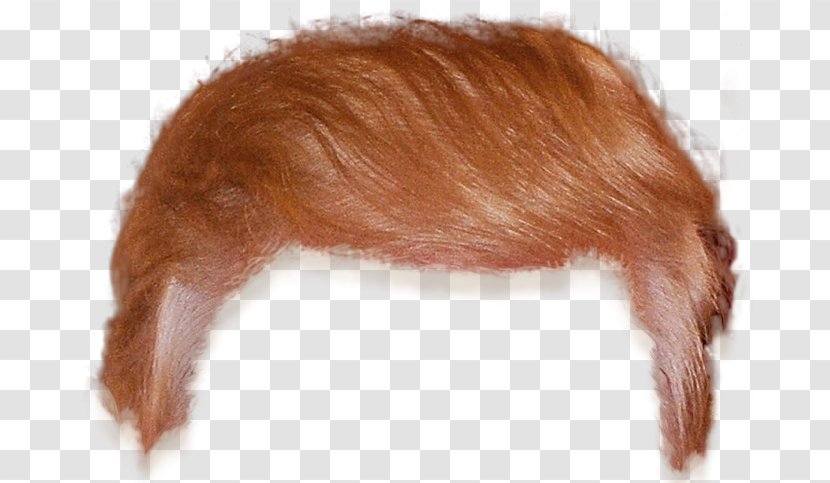 Hair Crippled America Clip Art - Wig - Boys Transparent PNG