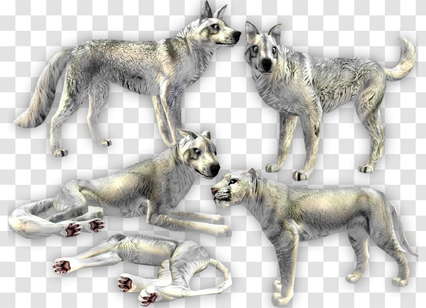 Dog Cat Felidae Canidae Feral Animal - Shading Texture Transparent PNG