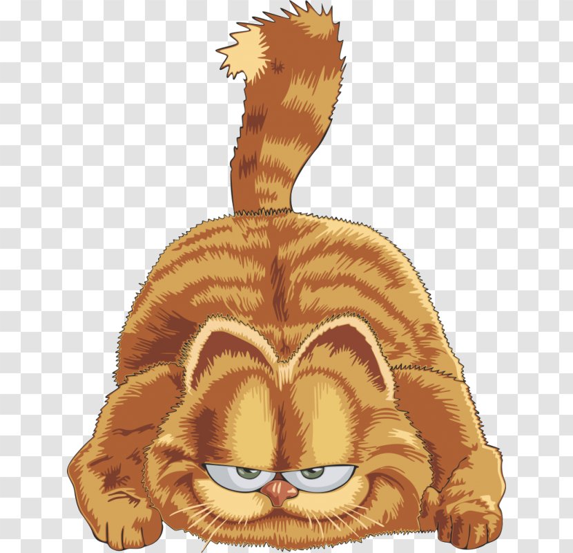 Garfield Cat Clip Art Image Whiskers - Small To Medium Sized Cats - Kart Twitter Transparent PNG