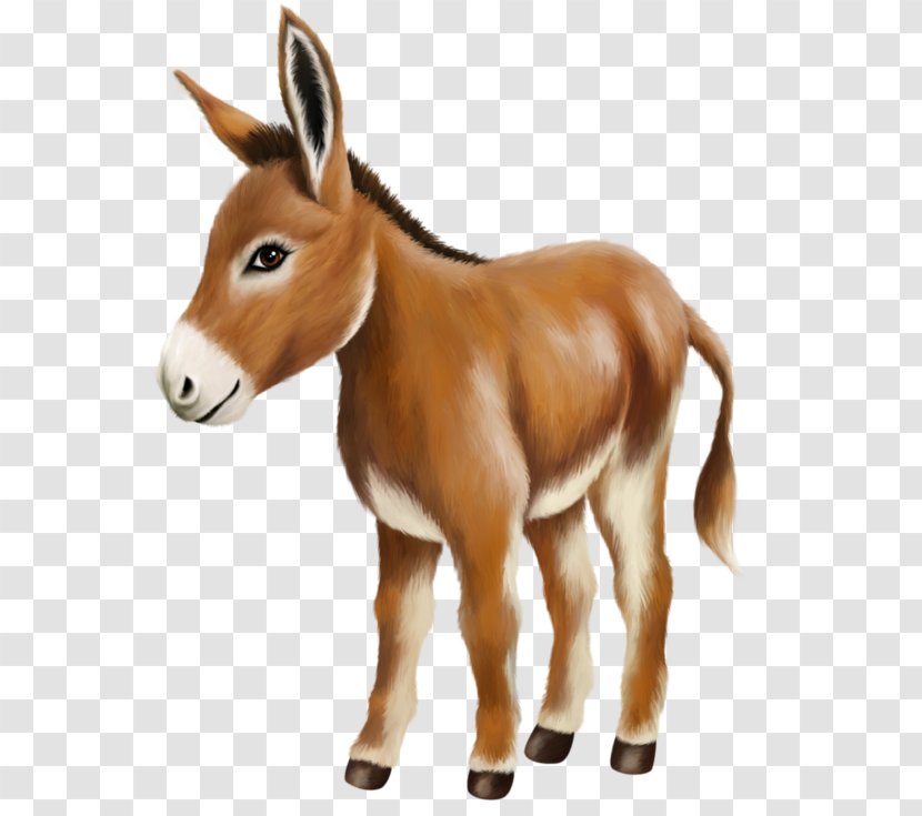 Clip Art - Livestock - Donkey Transparent PNG