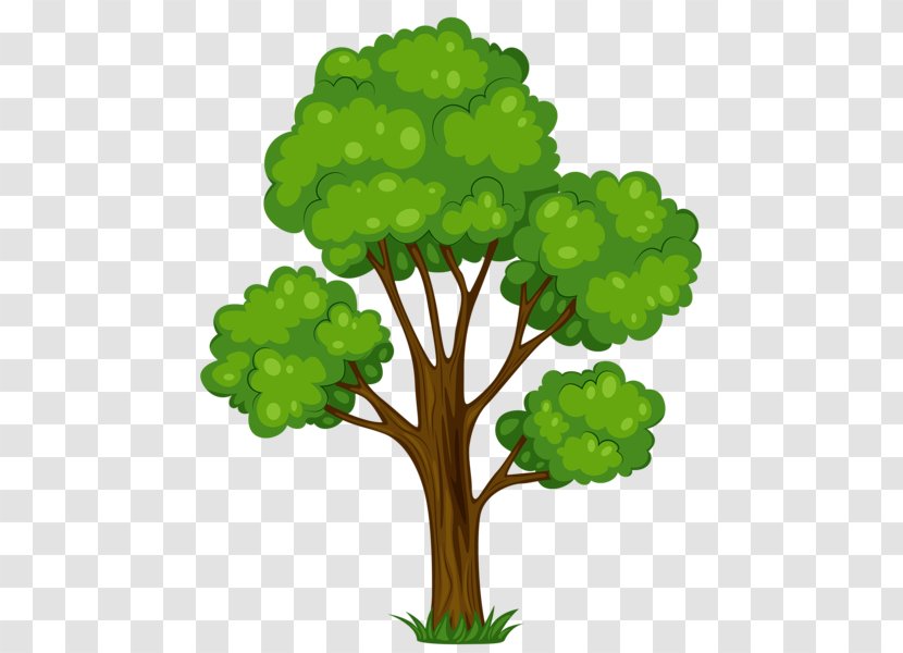 Tree Free Content Clip Art - Grass - Vector Transparent PNG