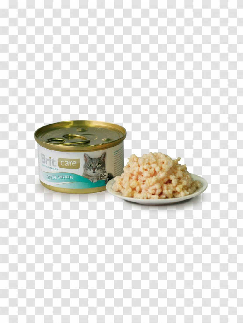 Kitten Cat Food Persian Canning Fodder - Orijen Transparent PNG
