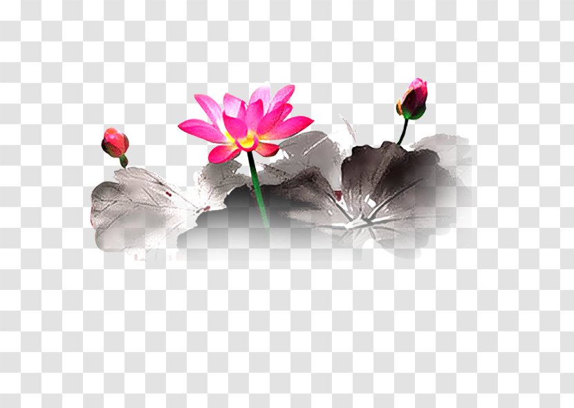 Floral Design Petal Heart Flowering Plant - Flower - Lotus Transparent PNG