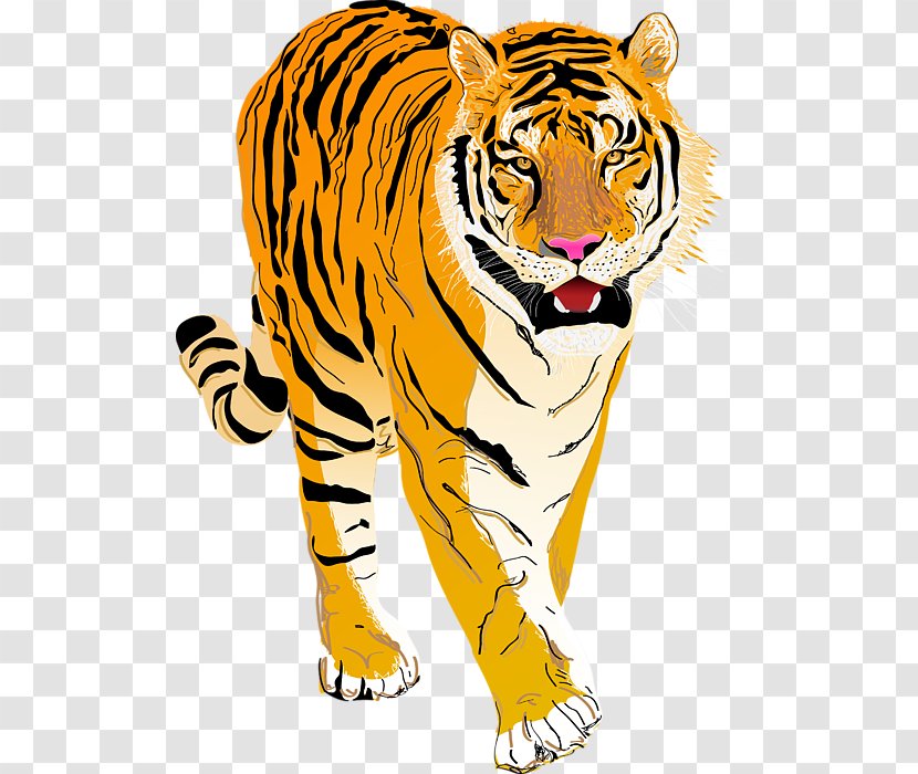 Lion Tiger Curtain Douchegordijn Shower - Cat Like Mammal - Climbing Transparent PNG