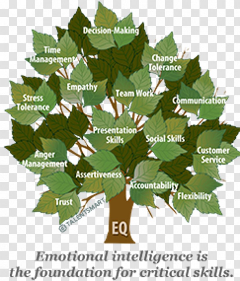 The Emotional Intelligence Appraisal Skill - Nonverbal Communication Transparent PNG