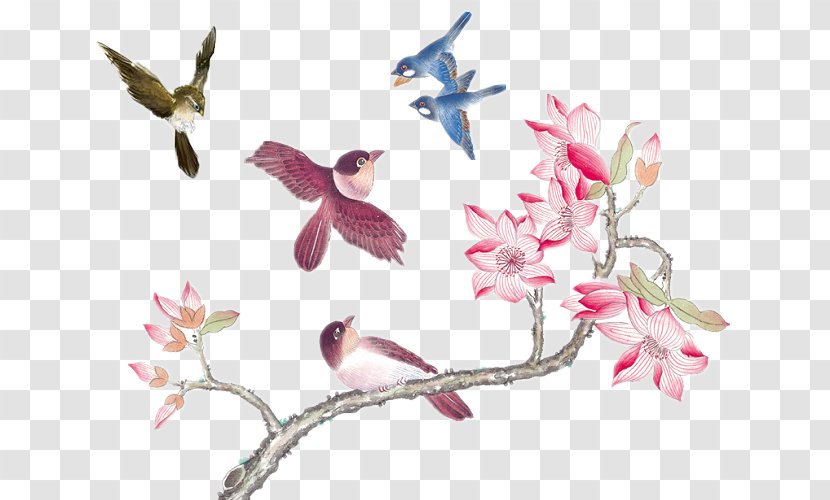 China U5b66u56fdu753b Chinese Painting Bird-and-flower - Art - Plover Transparent PNG