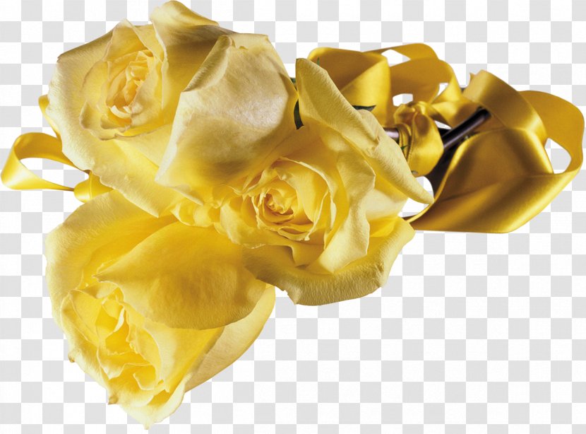 Flower Beach Rose Clip Art - Tree - Yellow Transparent PNG