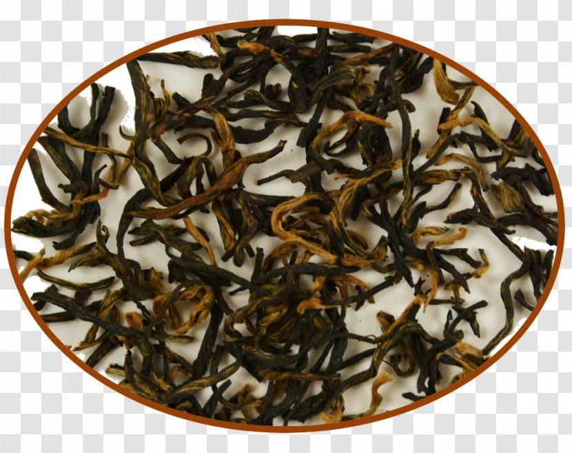 Oolong Nilgiri Tea Dianhong Assam - Golden Monkey Transparent PNG