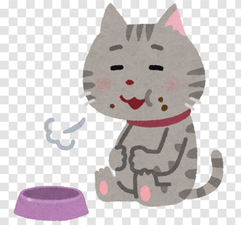 Cat Food Kitten Pet Meal Transparent PNG