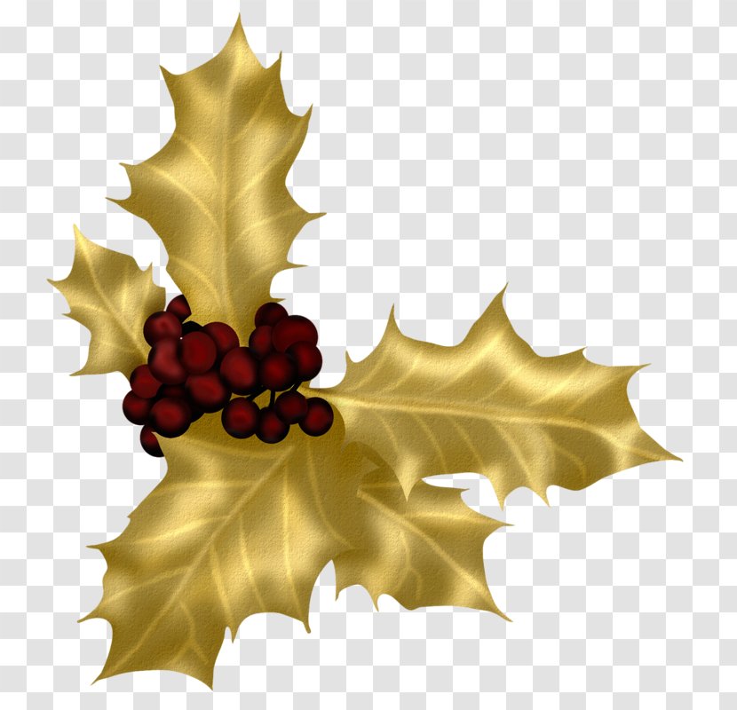 Christmas Clip Art - Aquifoliales - Golden Decoration Transparent PNG