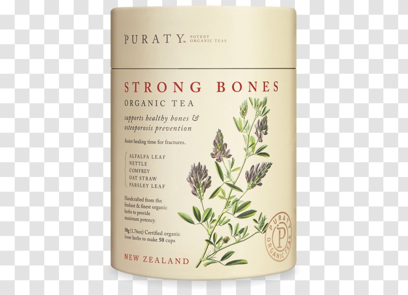 Alfalfa Herbal Tea Sprouting Legumes Seed - Perennial Plant - Broken Bones Transparent PNG
