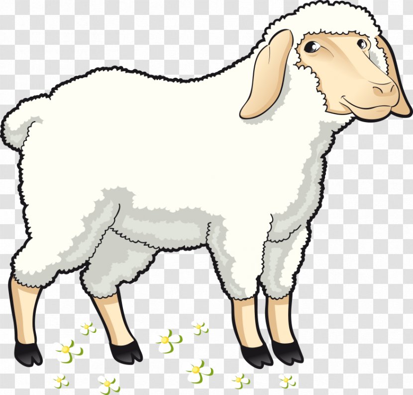 Sheep Goat Clip Art - Mammal - Vector Cartoon Transparent PNG