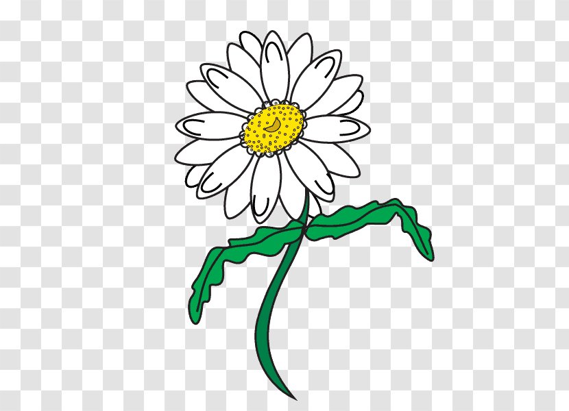 Drawing Line Art Common Daisy Clip - Membrane Winged Insect - Surround Lines Transparent PNG