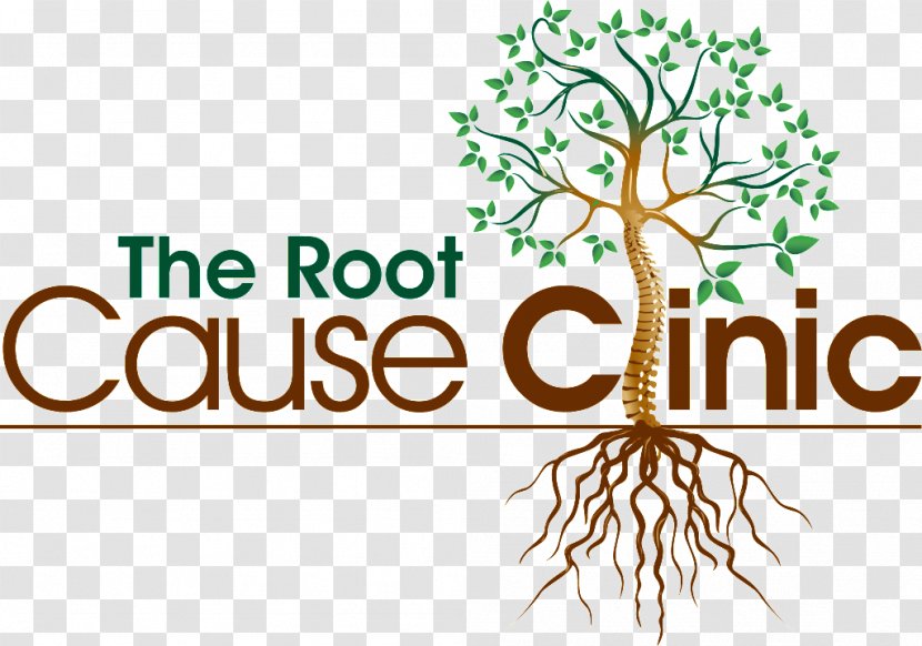 The Root Cause Clinic Hospital Tampa - Health Transparent PNG