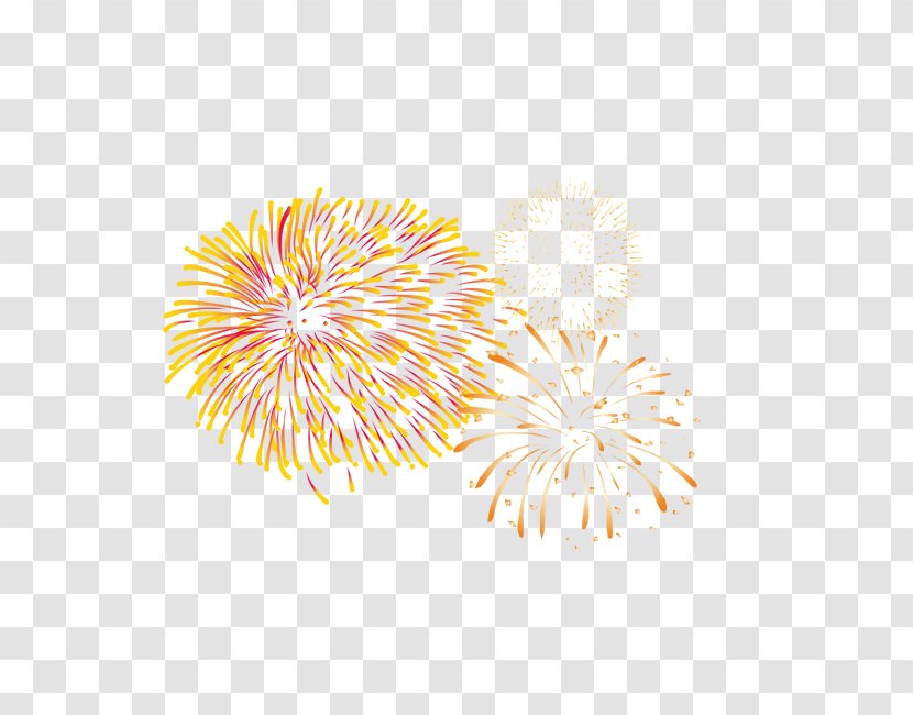 Fireworks Phxe1o Sky Google Images - Point Transparent PNG