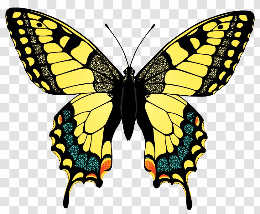 Swallowtail Butterfly Black Papilio Palamedes Oregonius - Yellow Image Transparent PNG