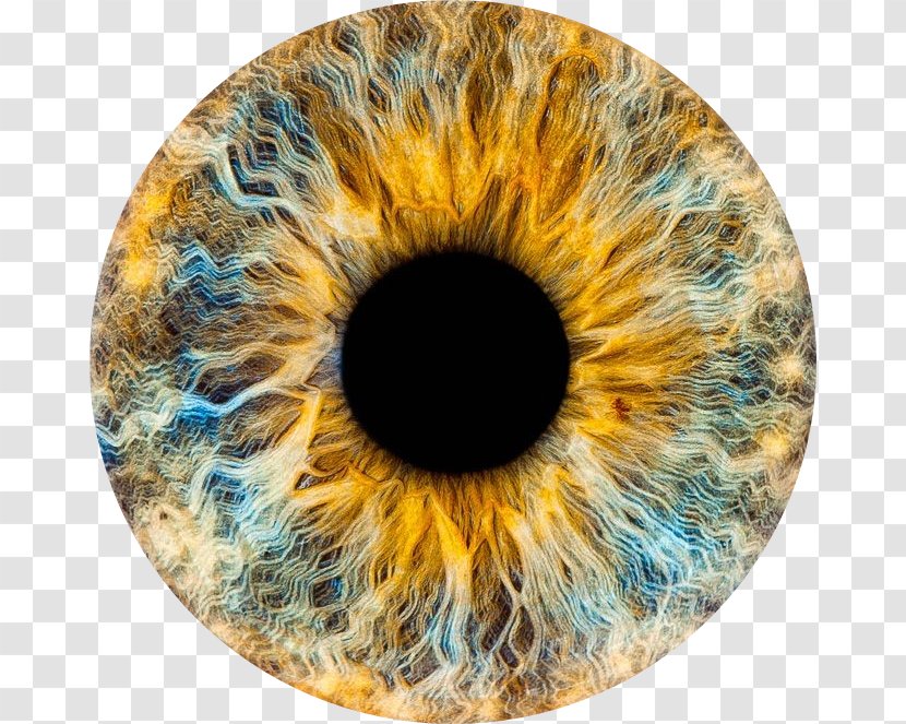 Lens Eye Iris Image Photograph - Heart Transparent PNG