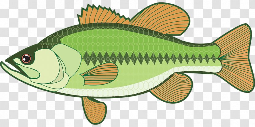 Clip Art Largemouth Bass Openclipart Fishing - White - Crown Fish Transparent PNG