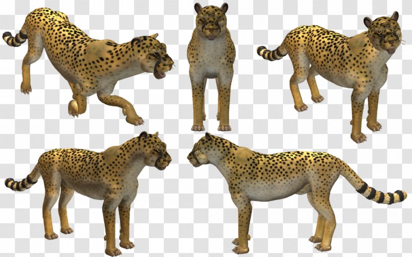 Spore Creatures Cheetah Video Game Lion - Cat Like Mammal Transparent PNG
