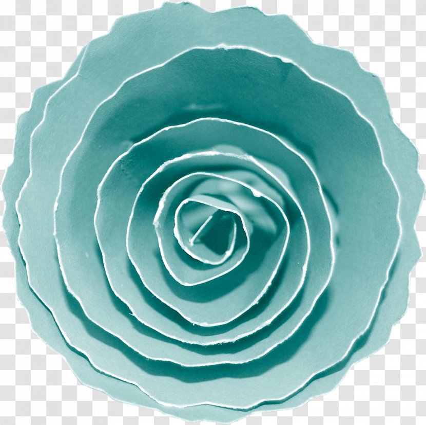 Blue Rose Garden Roses Petal - Aqua - Dream Flowers Transparent PNG