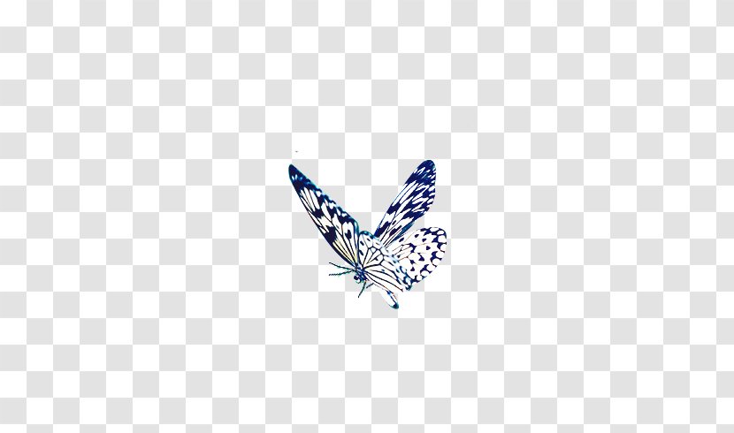 Butterfly Blue And White Pottery Porcelain - Insect - Flower Print Transparent PNG