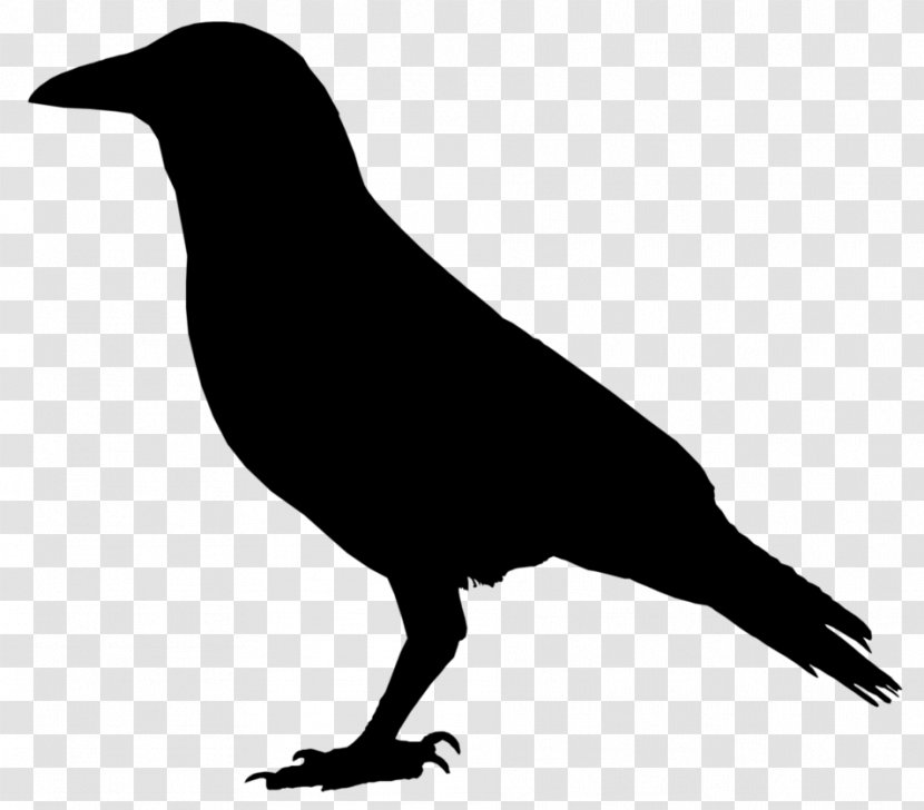 American Crow Raven Cornell Lab Of Ornithology Clip Art Transparent PNG